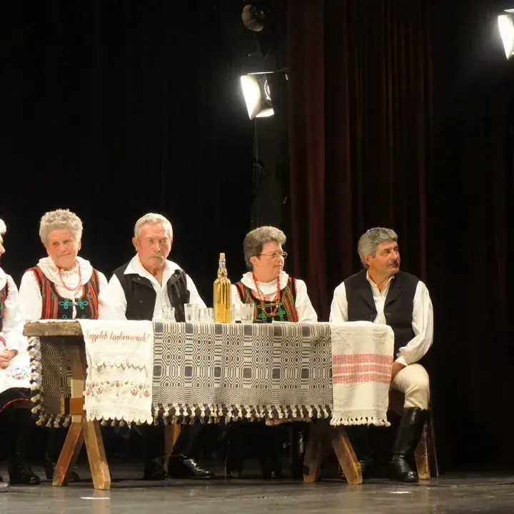 Corvinus Kozgaz 20150418 foto Antal Alice (22).JPG